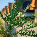 Estalagem La Familia *